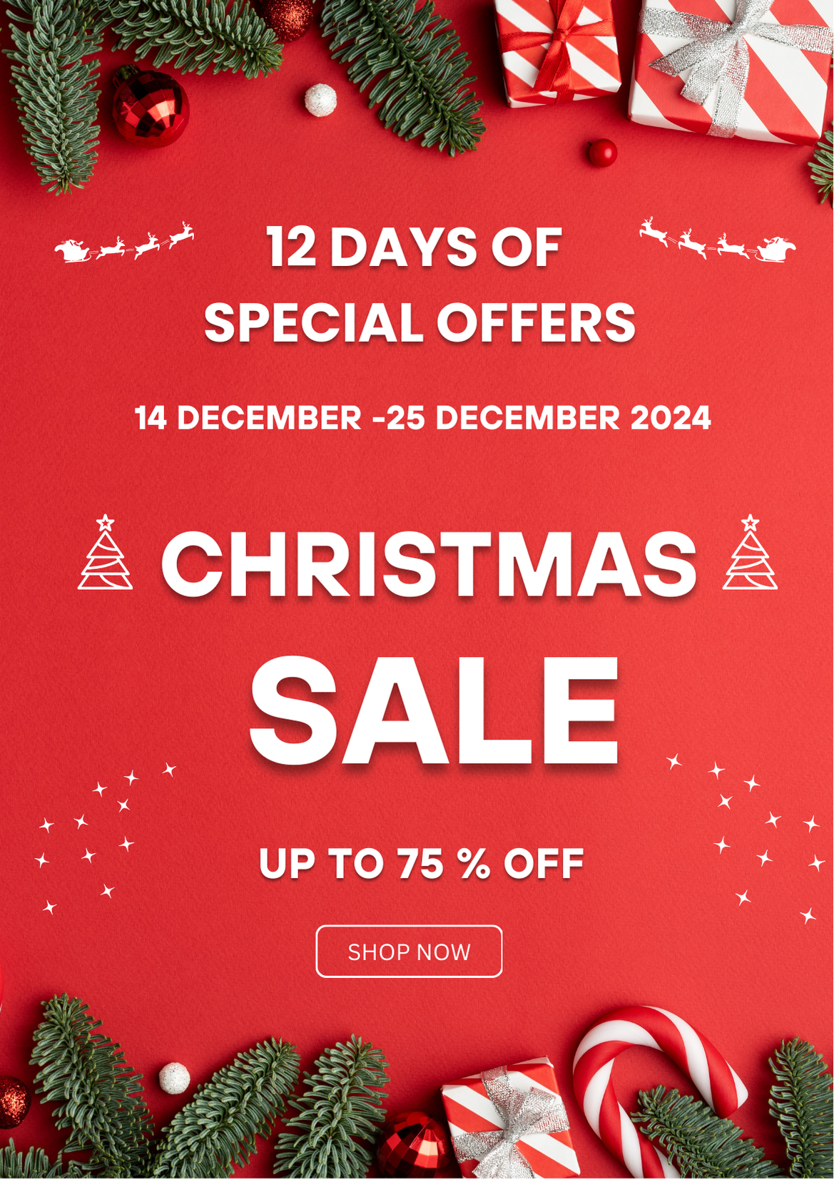 12 Daily Specials Christmas Big Sale!